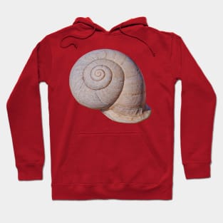 Snail Shell Hoodie